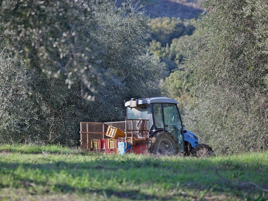Tenuta La Silva Seggiano Bagian luar foto