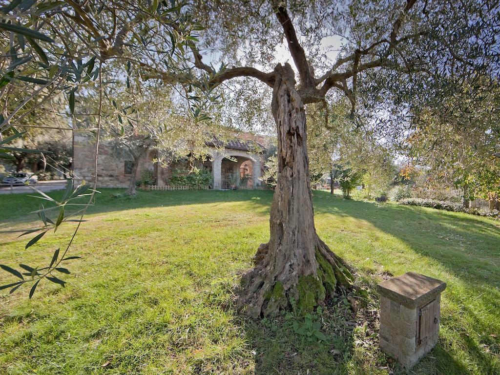 Tenuta La Silva Seggiano Bagian luar foto