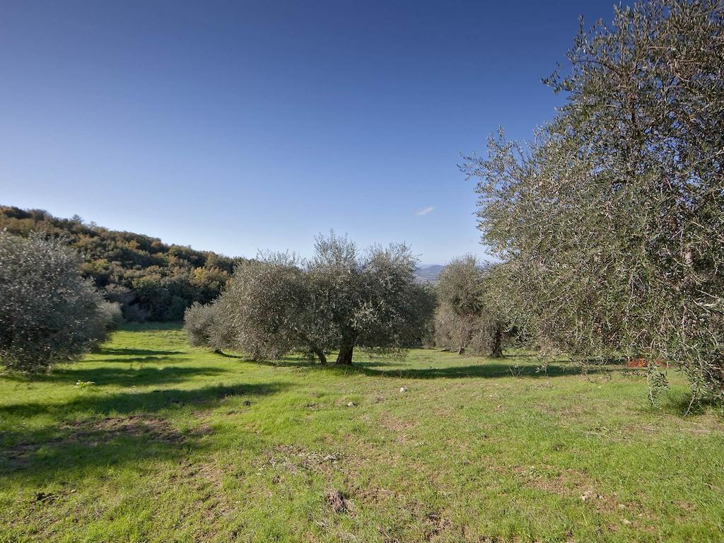 Tenuta La Silva Seggiano Bagian luar foto