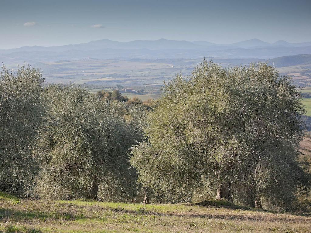 Tenuta La Silva Seggiano Bagian luar foto