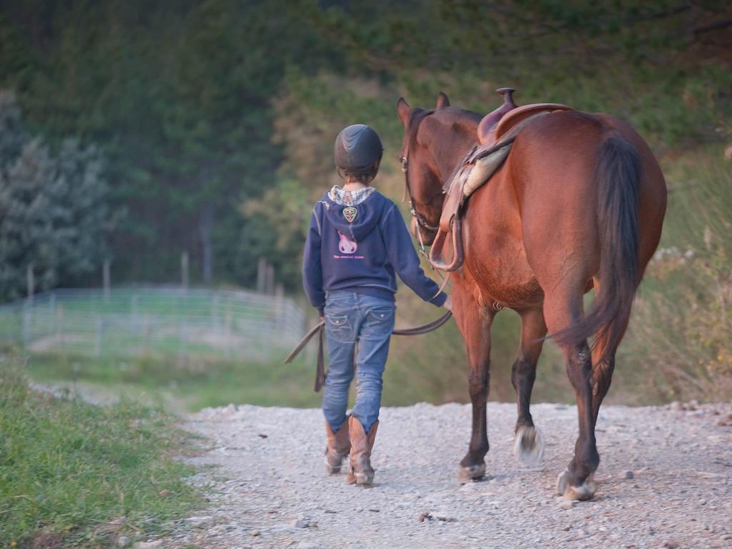 Tenuta La Silva Seggiano Bagian luar foto